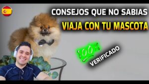 ocio familiar en España con mascotas